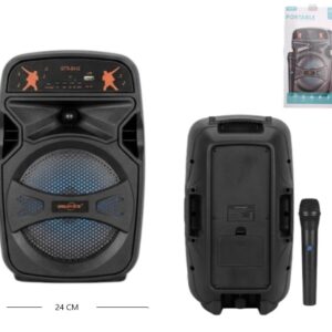 PARLANTE 6.5 PLG C/ MICROFONO BT/USB